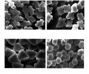ساختار مورفولوژی الیاف بامبو